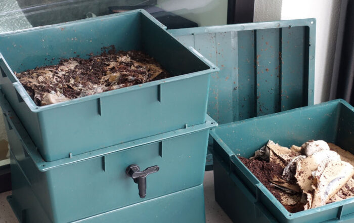 Photo of worm composting bins.