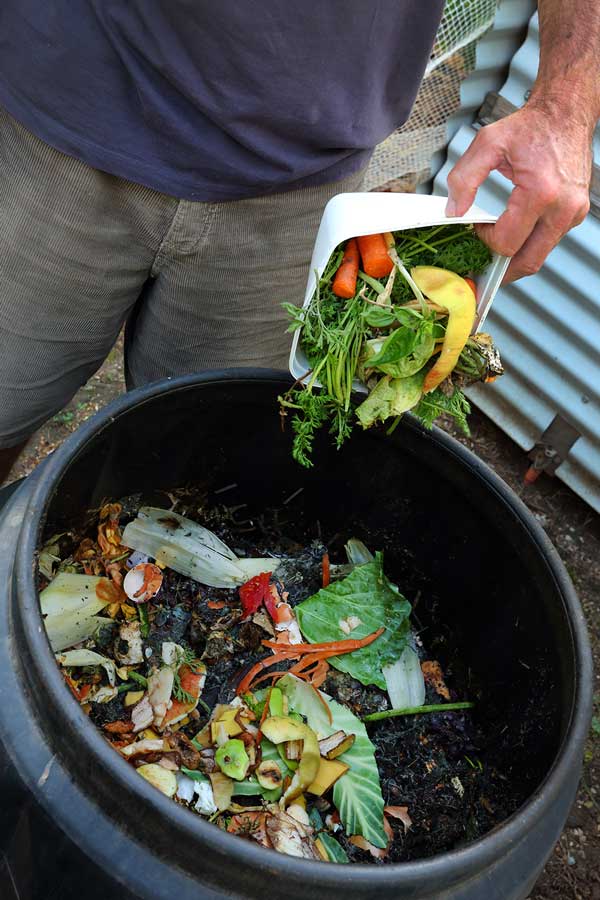 Photo of man placing organic waste in a backyard compost bin.
