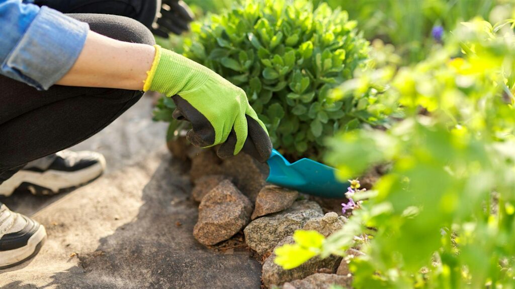A woman with gardening gloves and spade tends to a shrub in her garden.